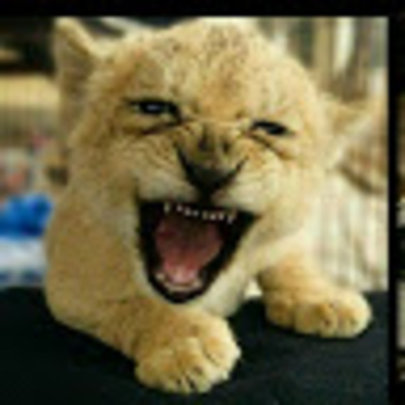 Meet your Posher, Dave - Picture 1 of 1